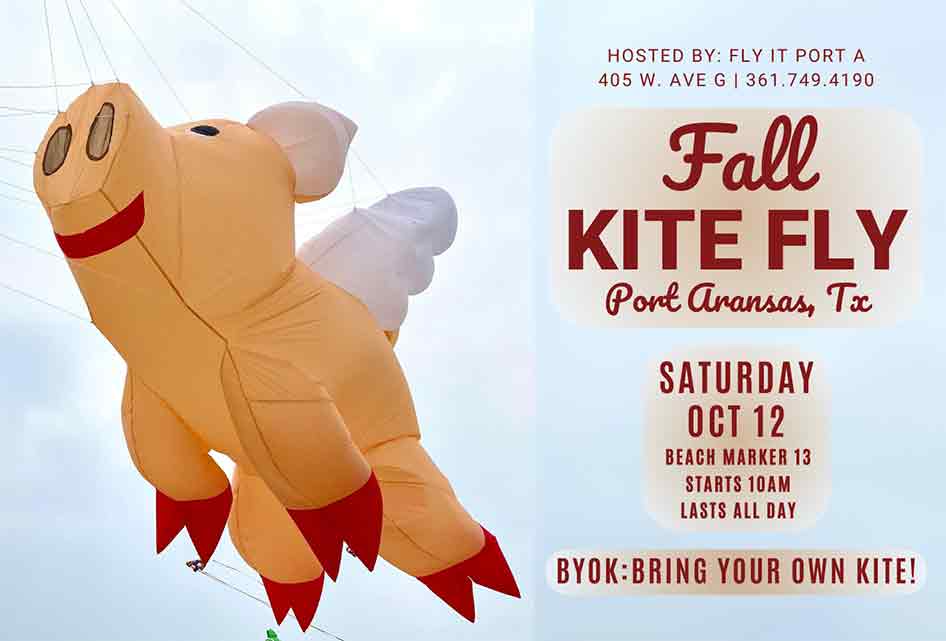 Cute ping pig kite with wings