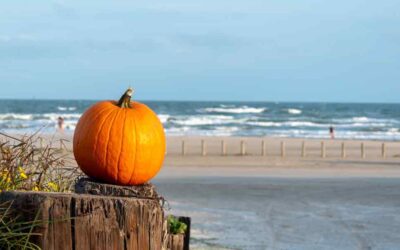 4 Ways To Celebrate Thanksgiving in Port Aransas