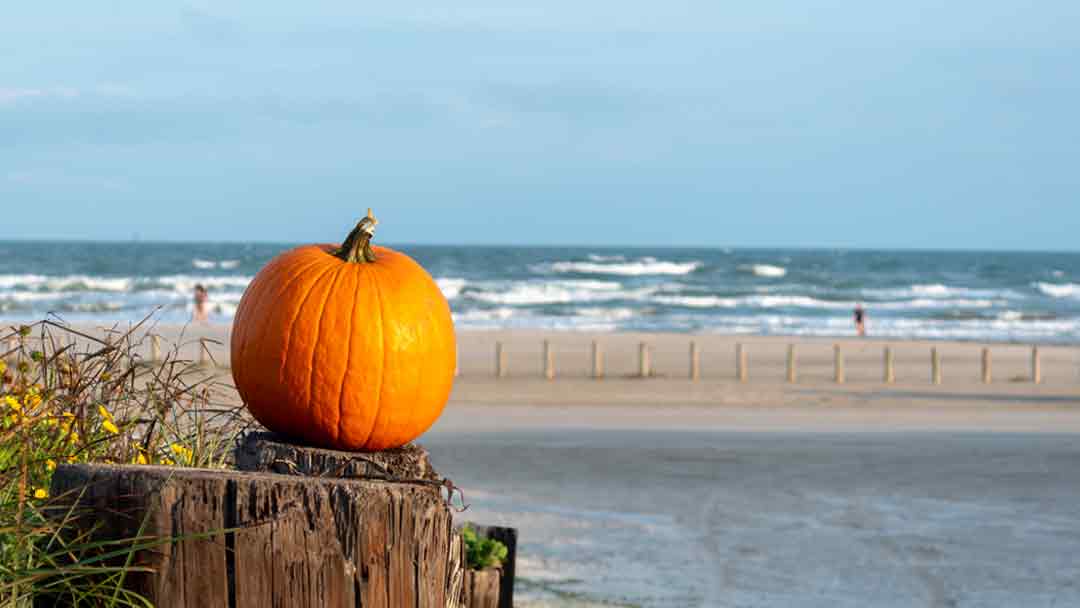 Celebrate Thanksgiving in Port Aransas. Pumpkin on a bollard with the beach in the background.